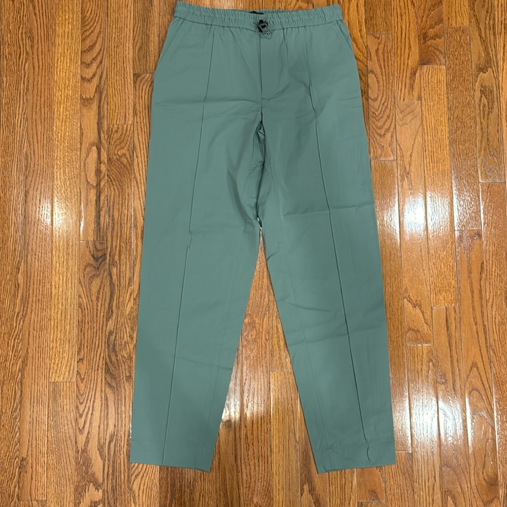 Club Monaco Green Travel Pants